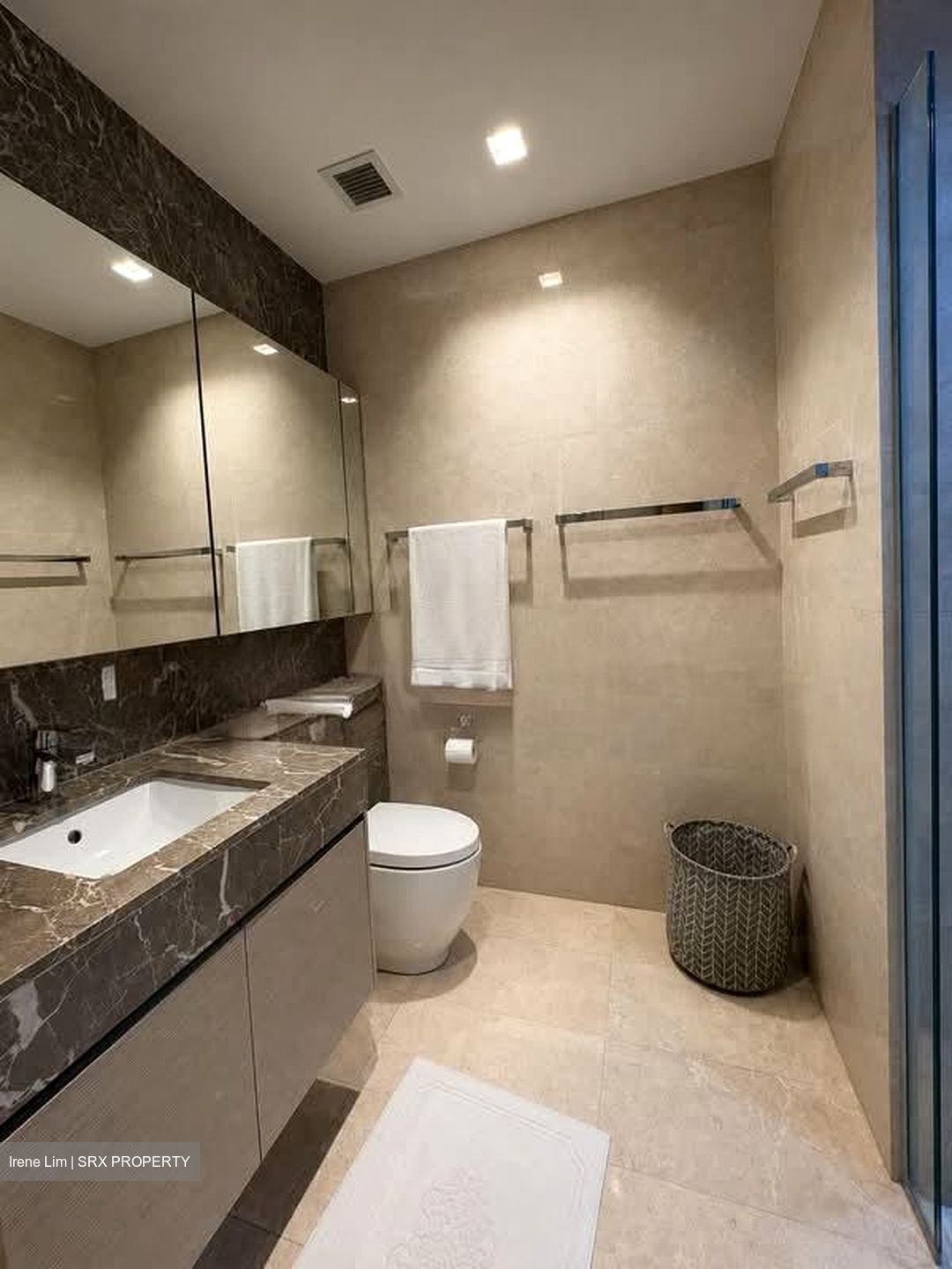 8 Saint Thomas (D9), Condominium #592700111